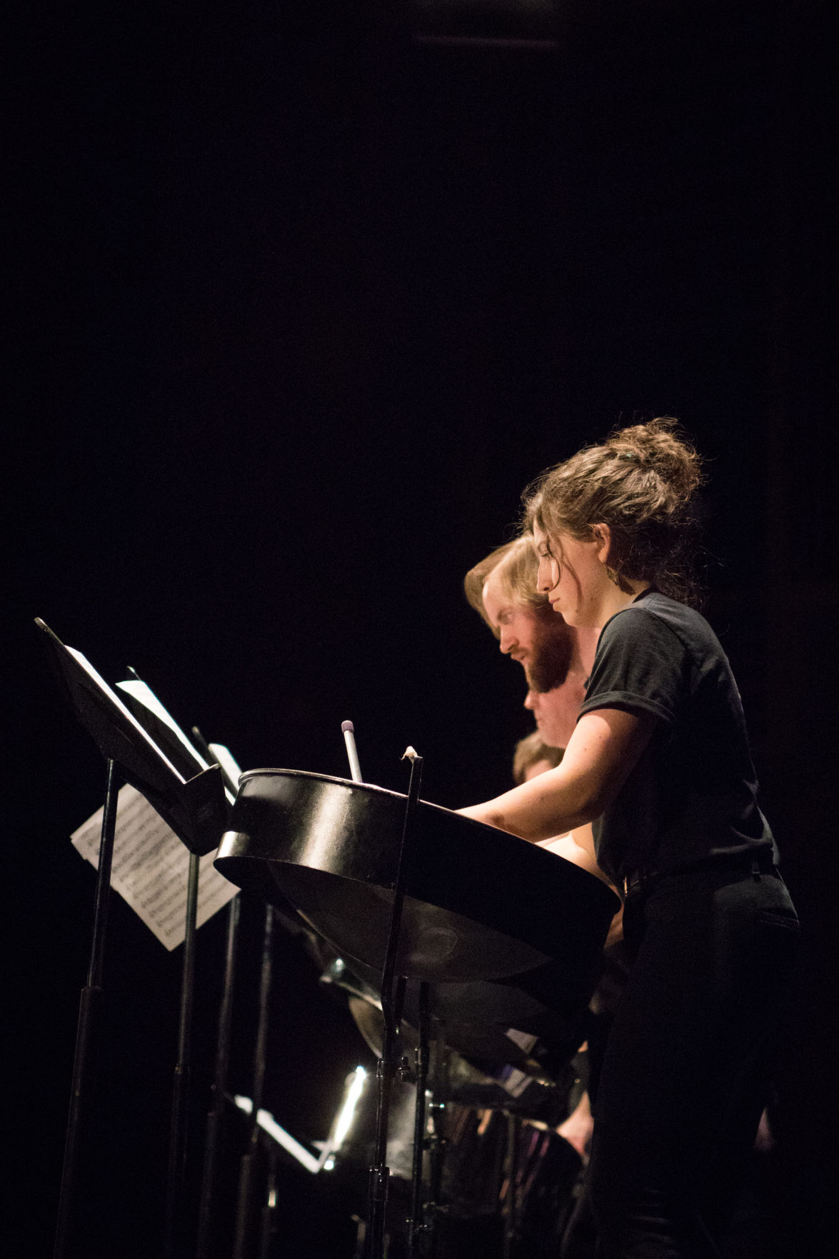 Shinner_Steeldrum01